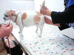 DCF_0068.JPG