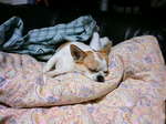 DCF_0107.JPG